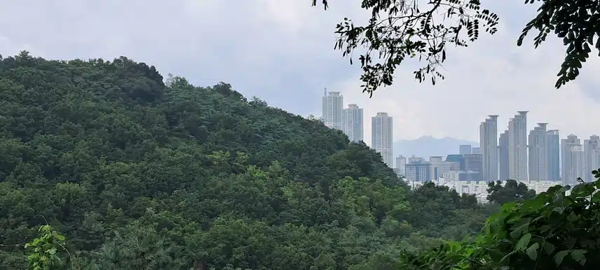 산 풍경