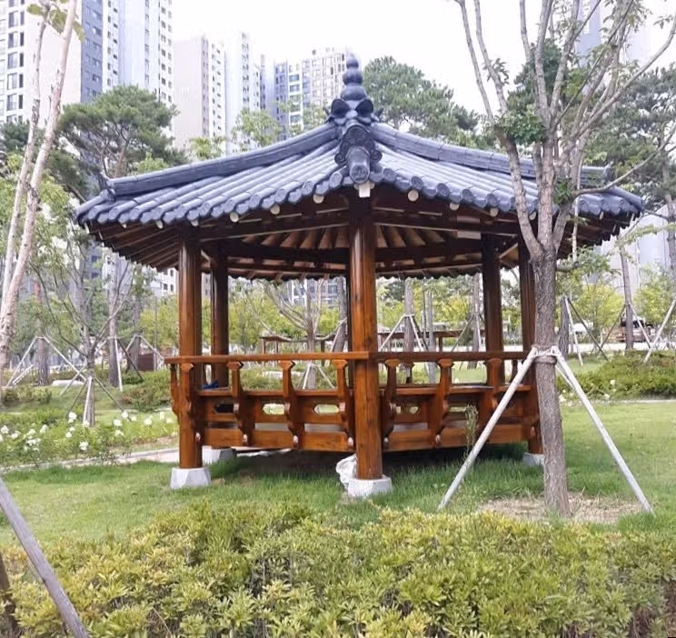 오전 산책