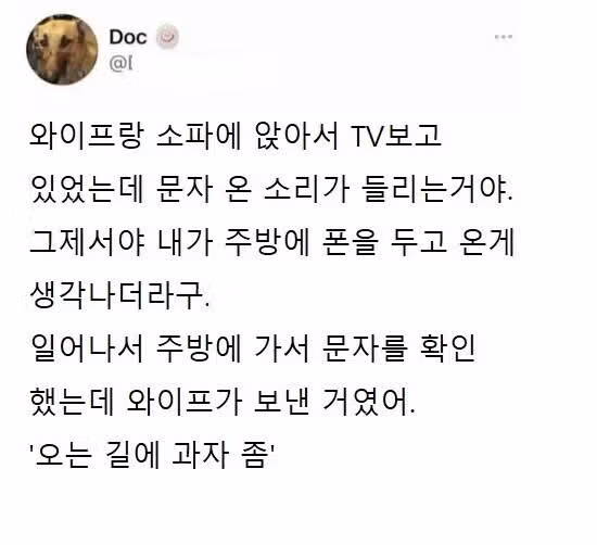 치밀한 함정을 판 와이프