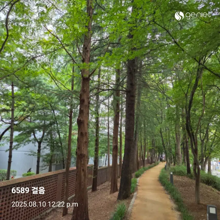 오전 운동