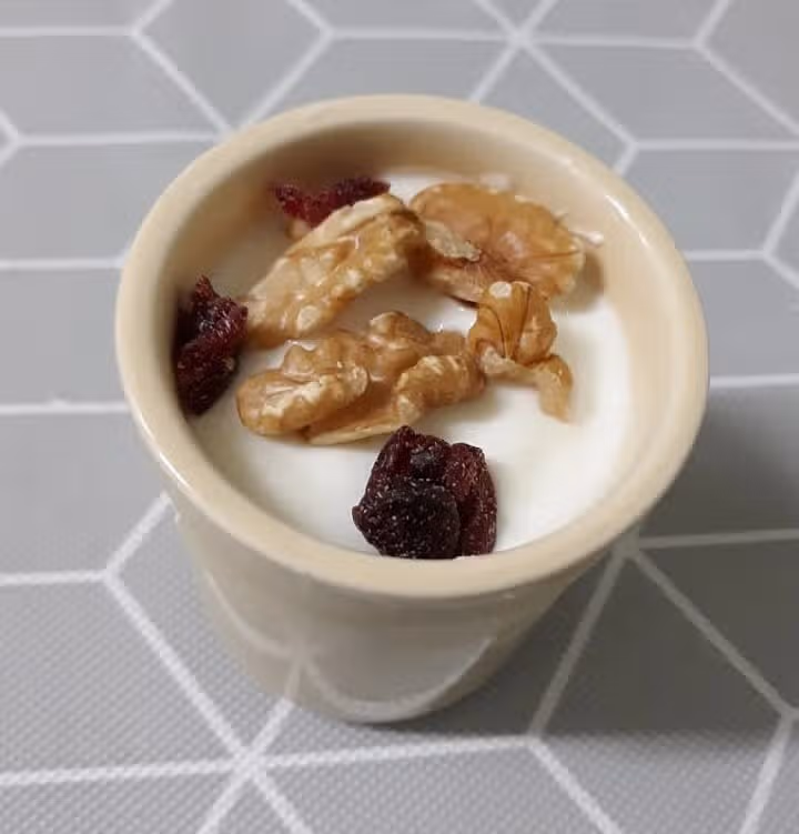 요거트