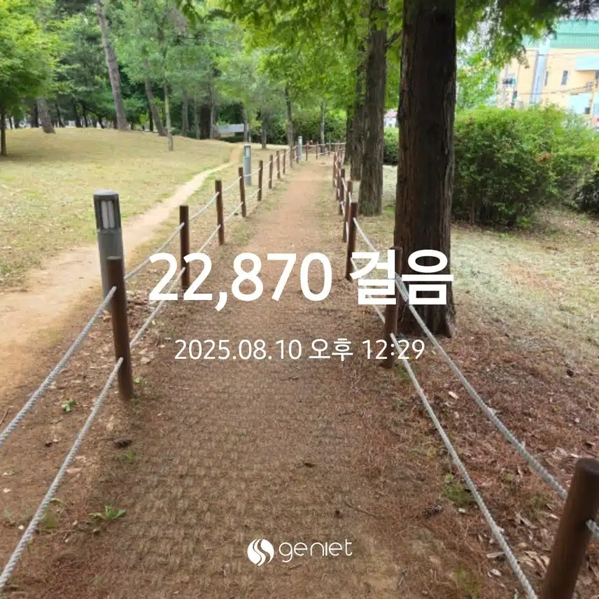 만보걷기 