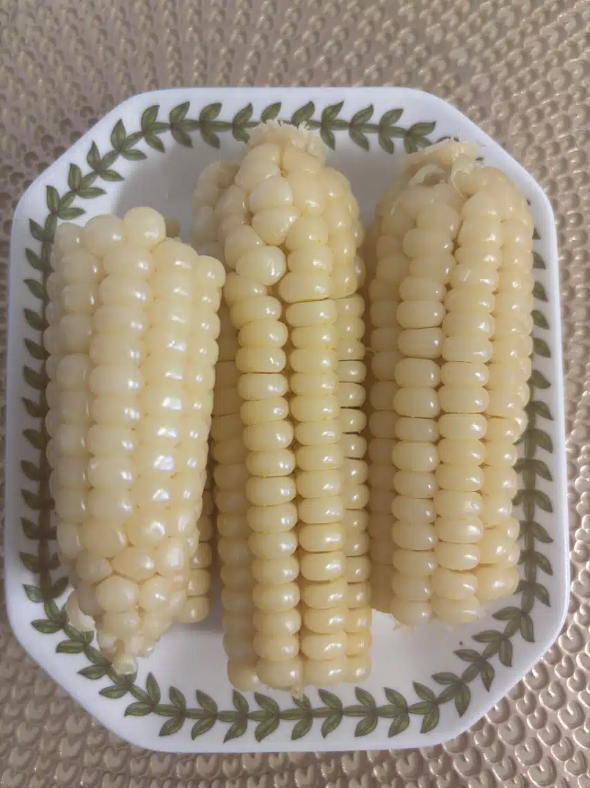 옥수수🌽