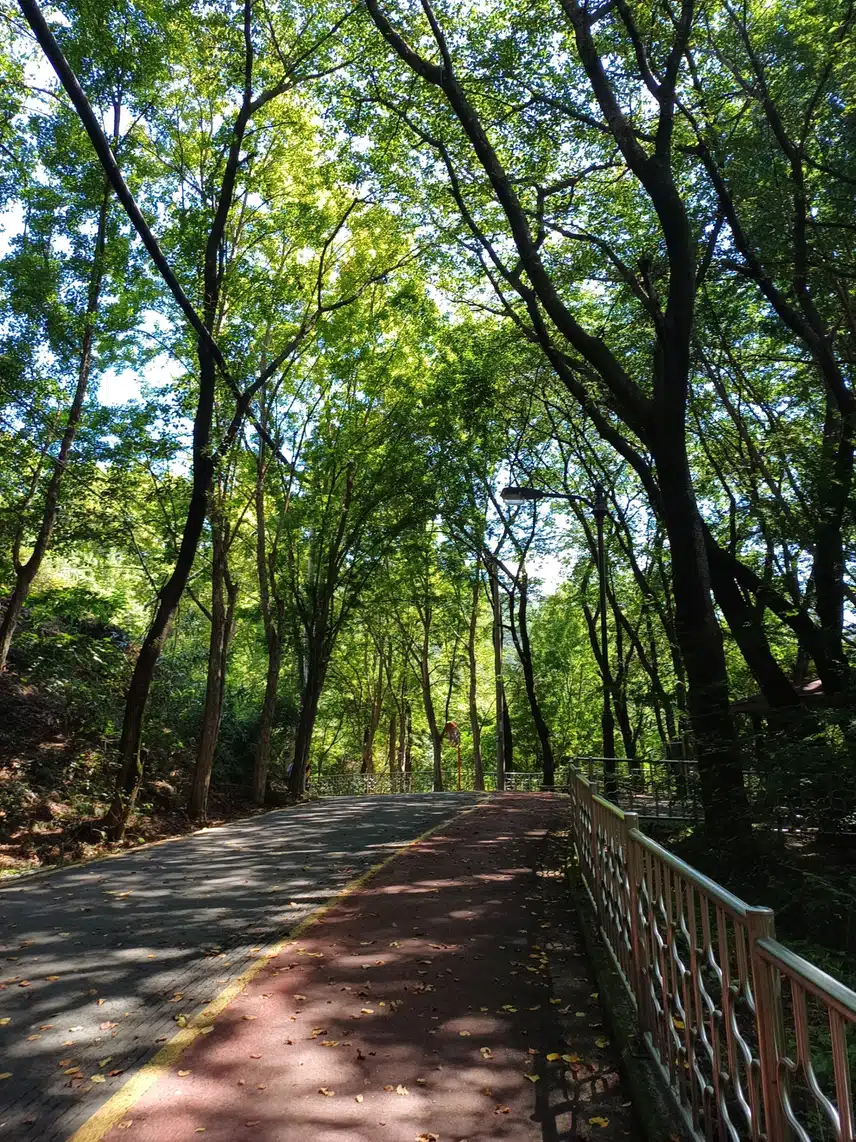 산책하며 힐링~