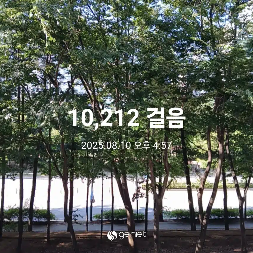 일요일 걷기운동^^