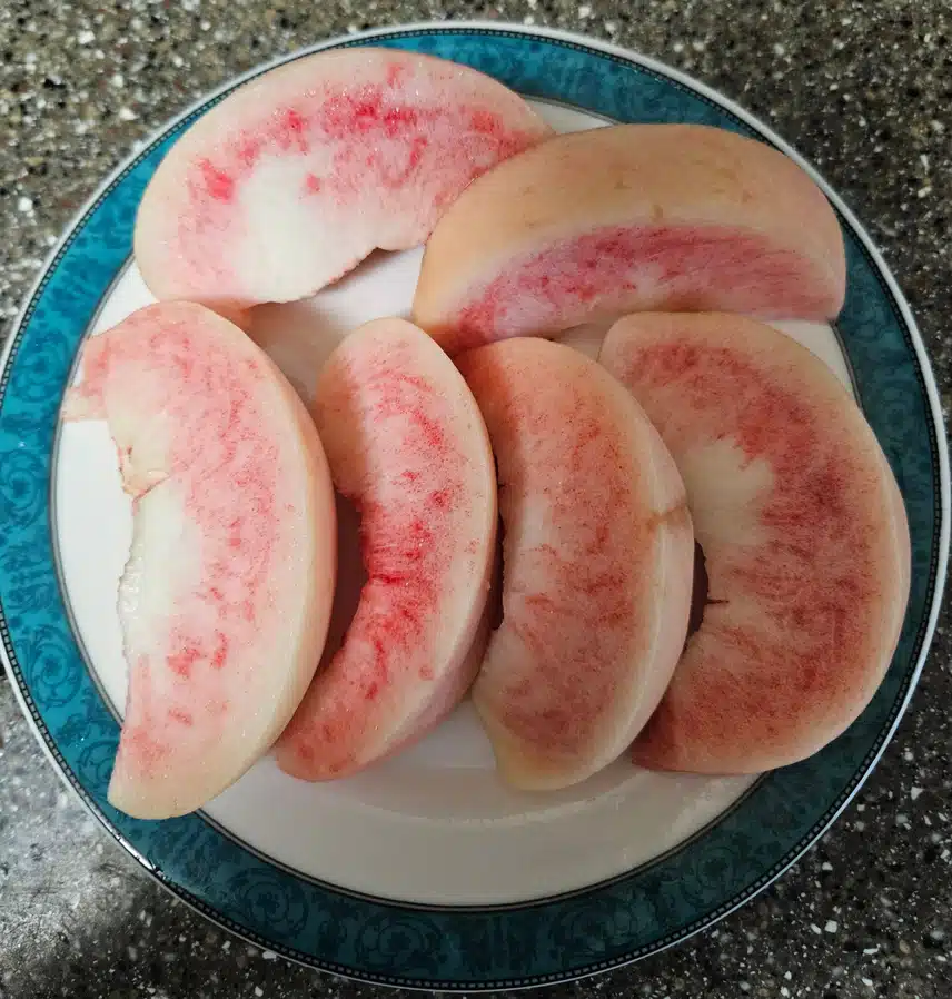 새콤한 복숭아로 비타민 충전 🍑 
