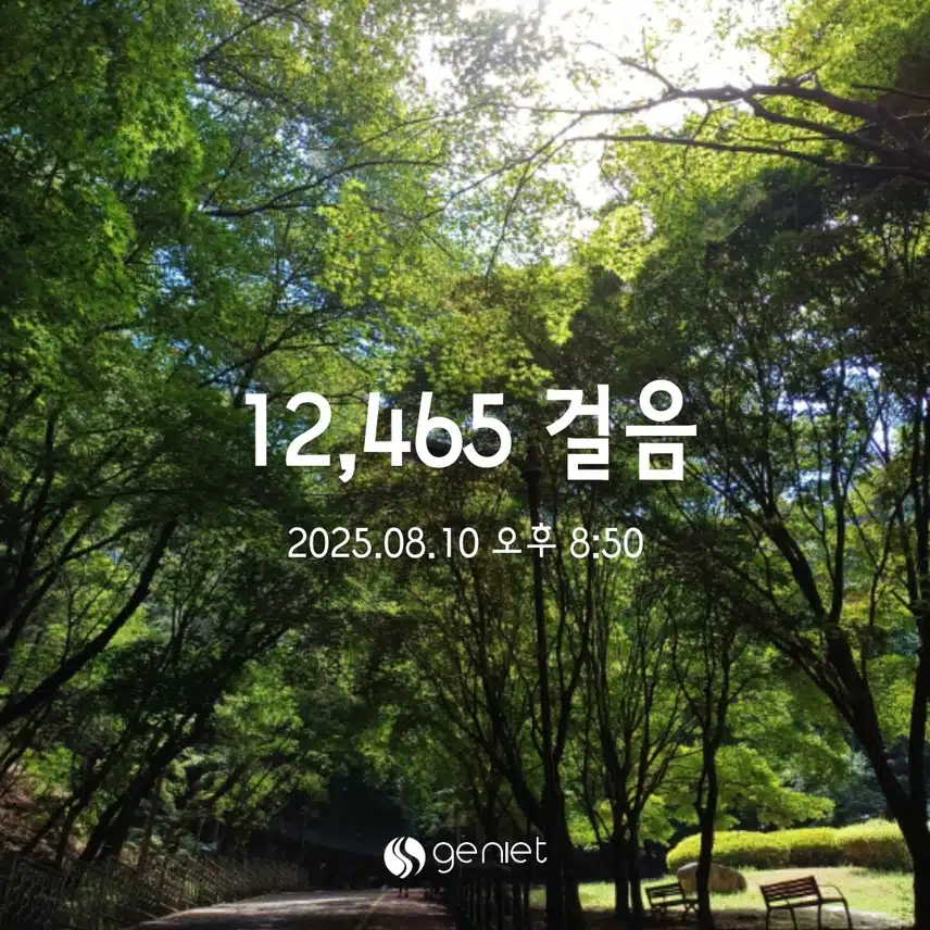 일욜 걸음