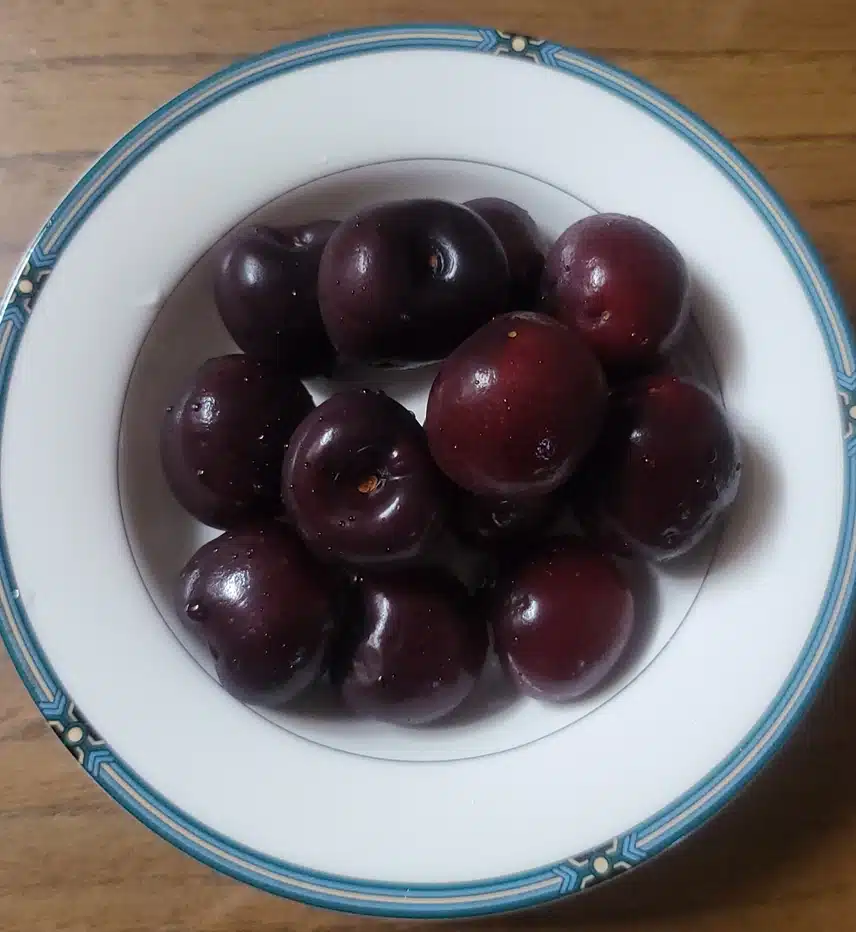 새콤달콤한 체리 🍒 