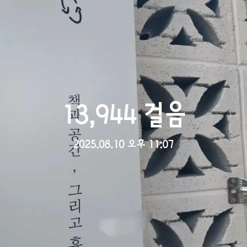 만보걷기 