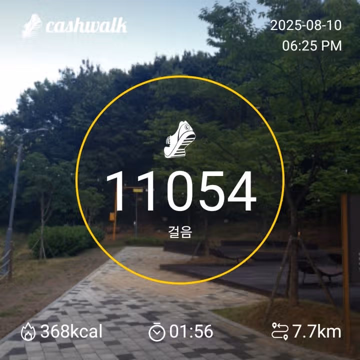 만보걷기 
