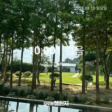8월 10일 만보 완주 