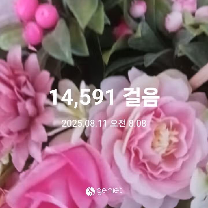 오전 운동 