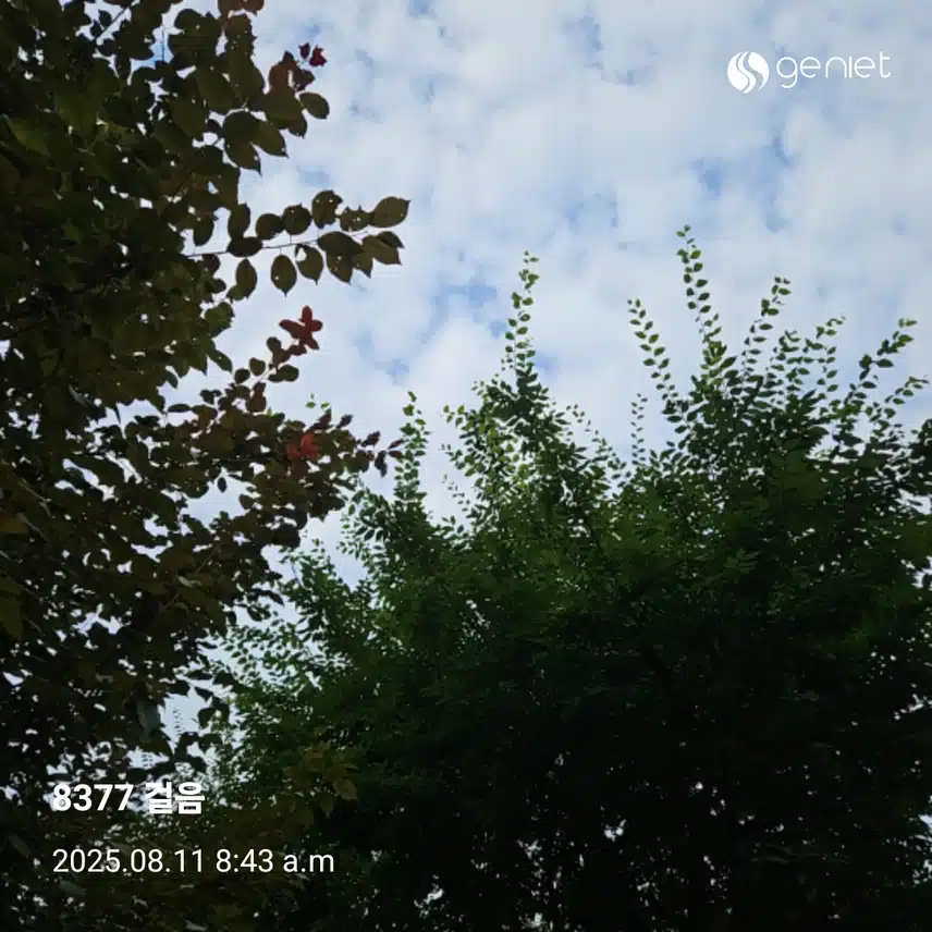아침 산책으로 리셋하고 🏃 
