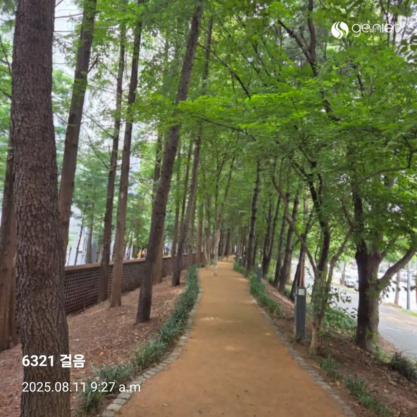 오전운동