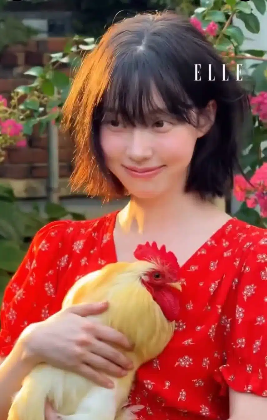 Waouh, l'hiver est incroyable. La photo de toi tenant un poulet est choquante.
