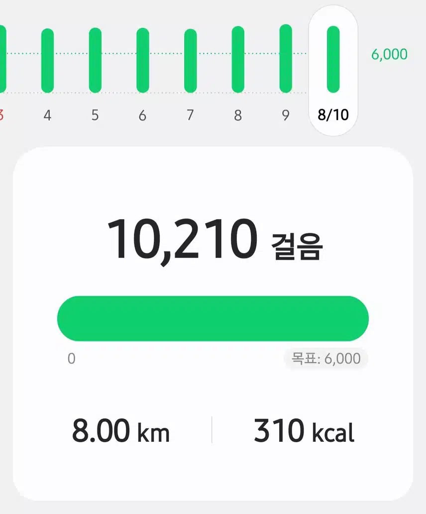 일욜 걷기 운동
