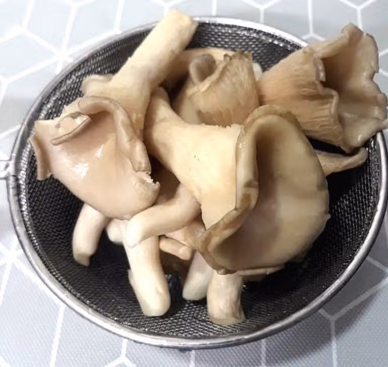 느타리버섯 볶음