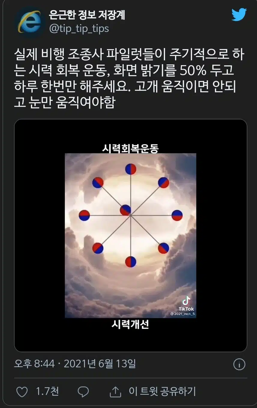 실제 비행 조종사 파일럿들이 주기적으로 하는 시력 회복 운동