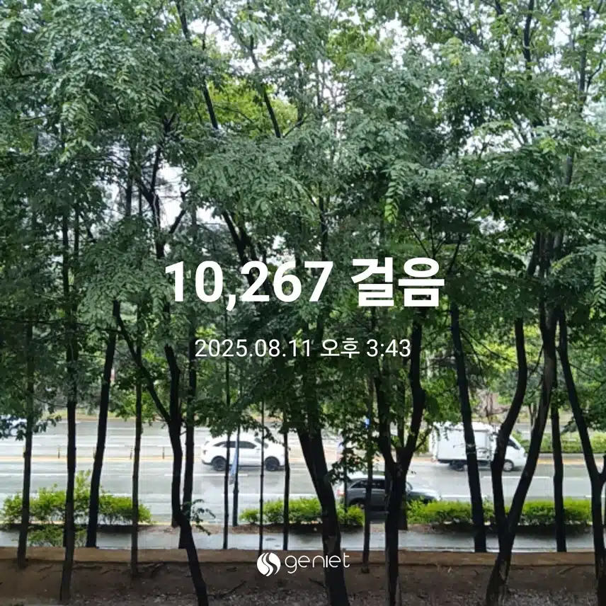월요일 걷기운동^^