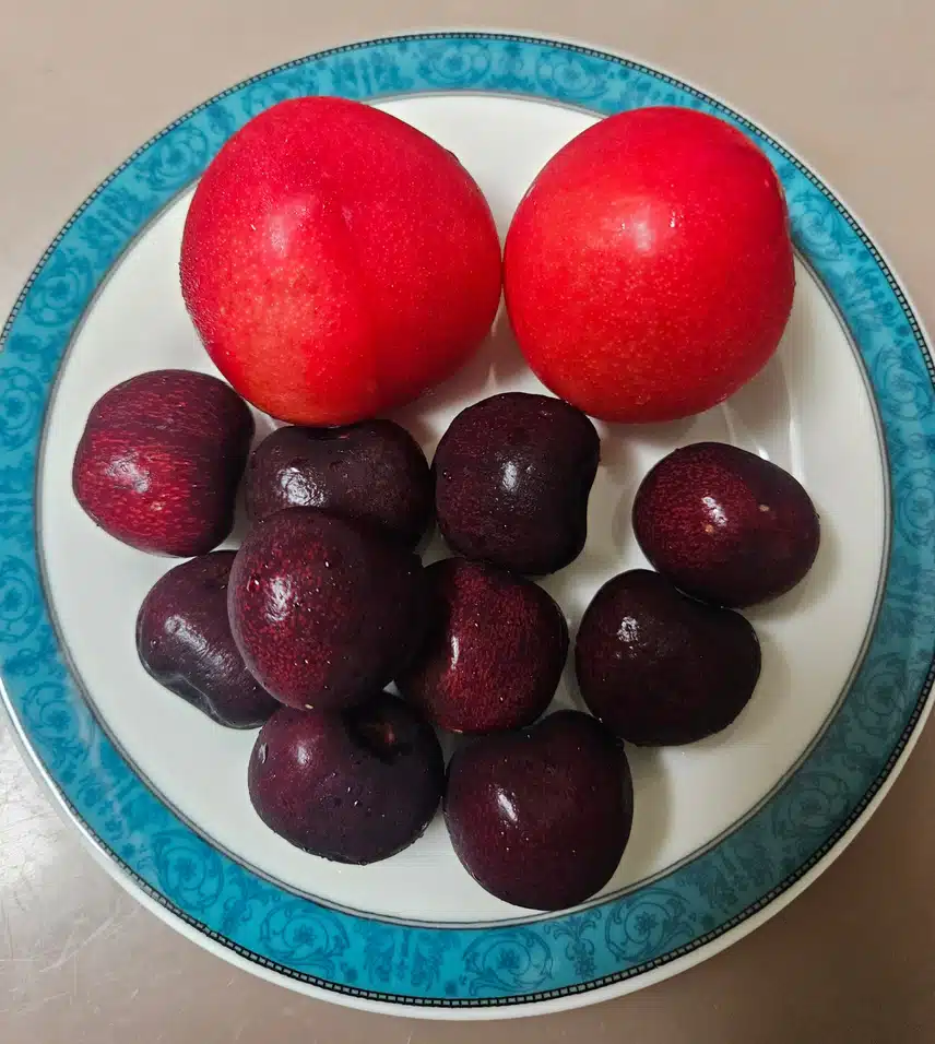 자두와 체리로 편안하네요.🍒 