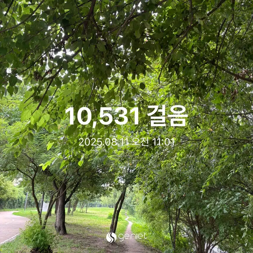 월요일 만보