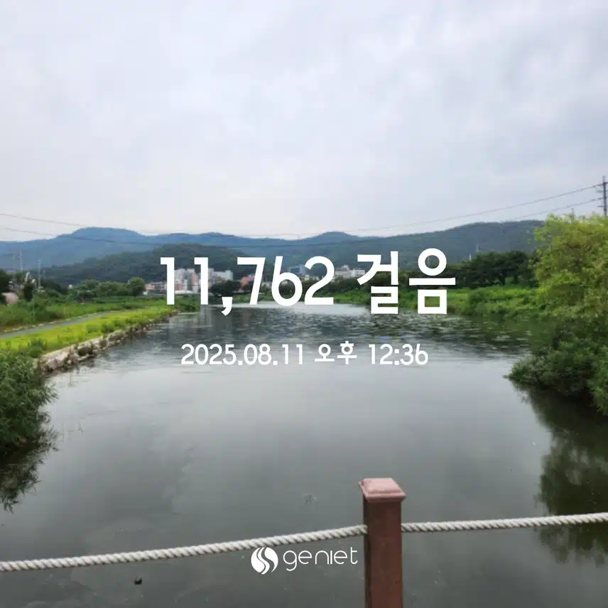 8.11 만보걷기 