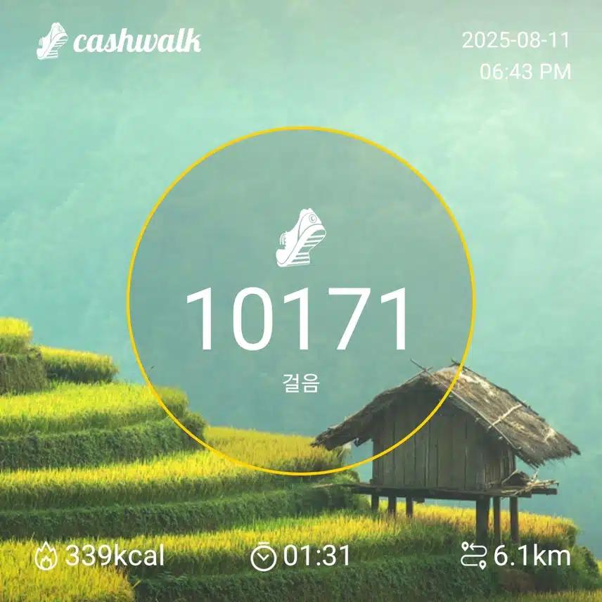 월요일 만보걷기 