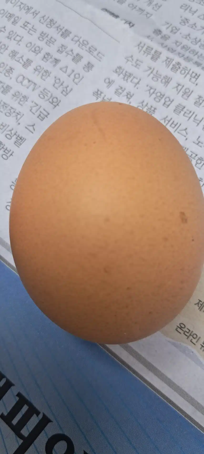 완전식품