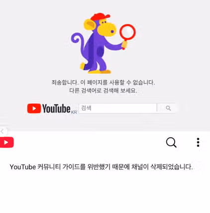 손연재 유튜브 삭제 이유는? 남편 이준효 코인 집안 학력 재산