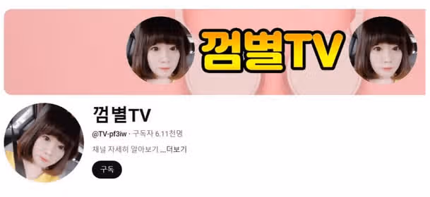 인내부부 아내가 bj 껌별이라고? 나이 논란, 별풍 회장, 시댁