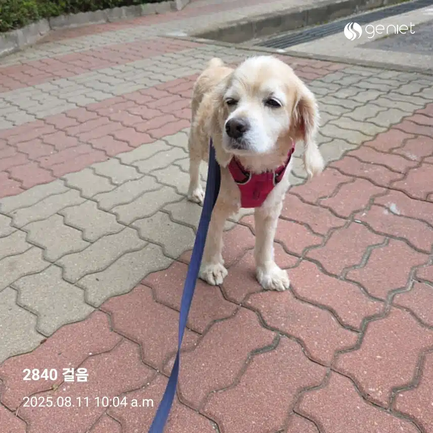 라떼 병원 다녀옴