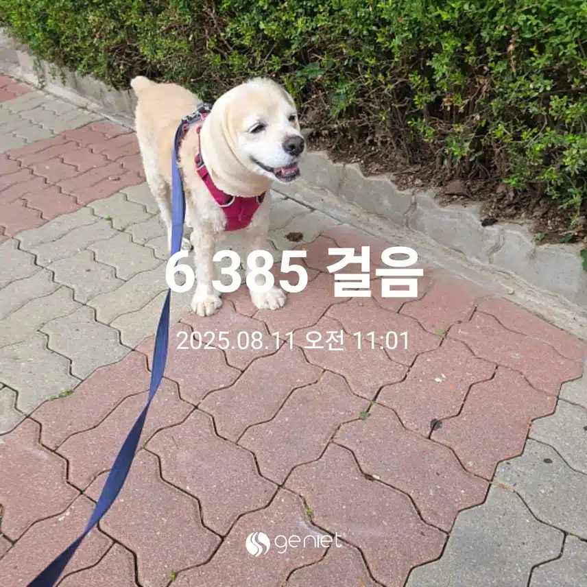 라떼 병원 다녀옴