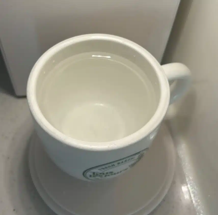 공복물