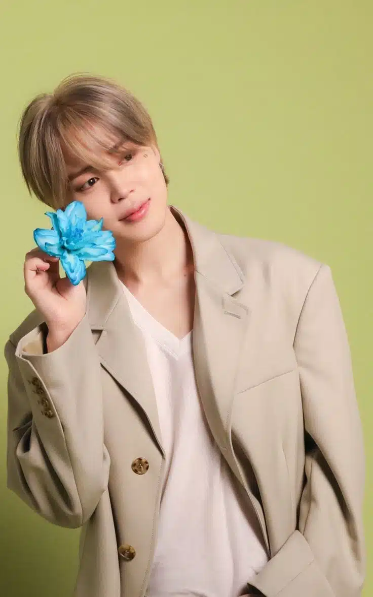Please girls, let's vote for Jimin at the VMAs.