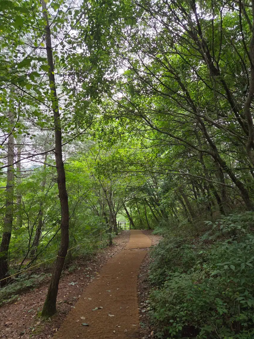 산행 