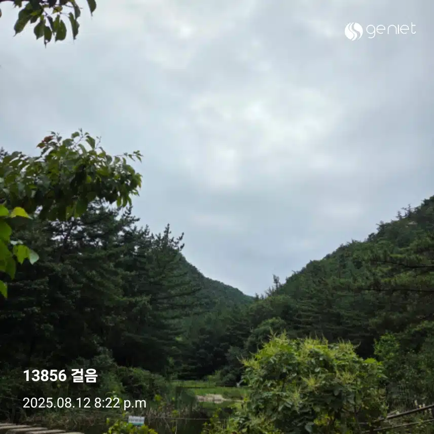 오늘 걸음