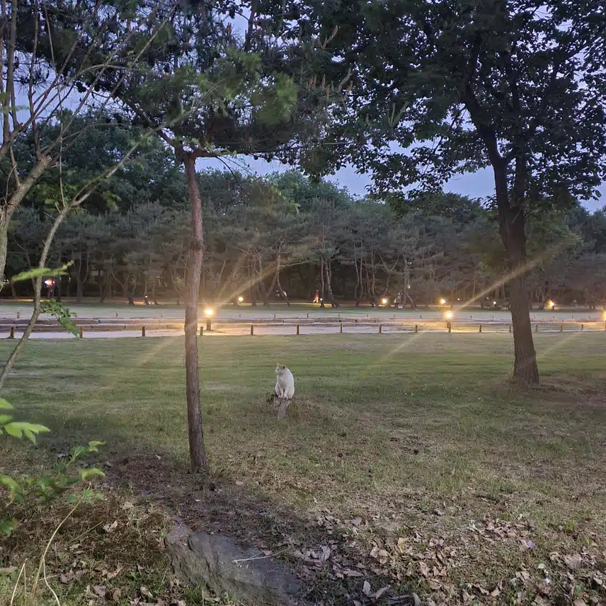 KRWEYRD 친구 렛츠고