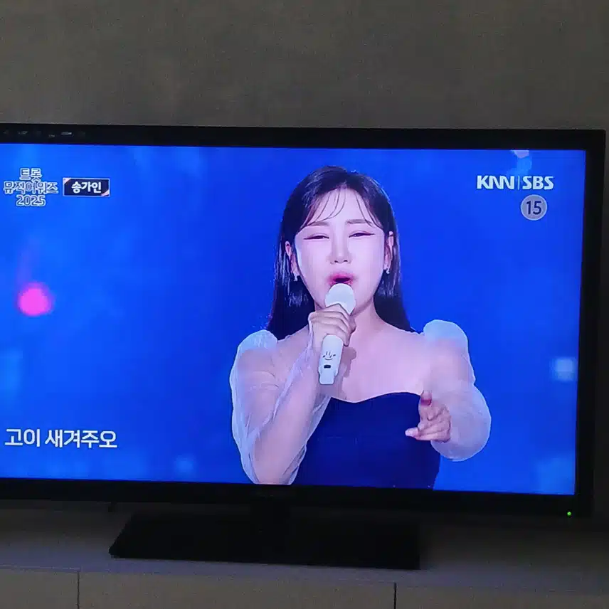 송가인님이 트롯 뮤직어워즈에 빠지면 안되죠