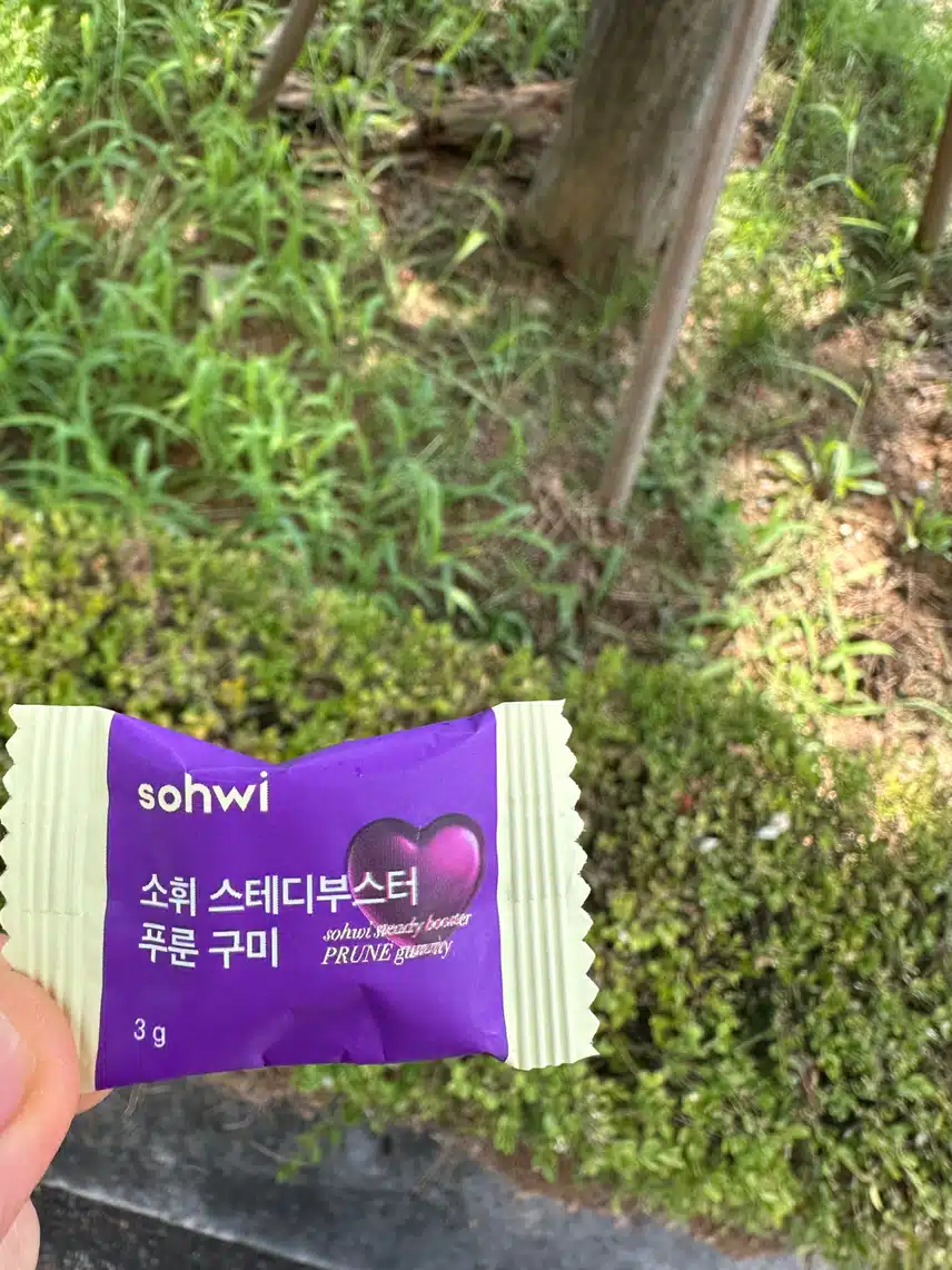일상의 편안함을 위한 현명한 선택, 소휘 푸룬구미 추천