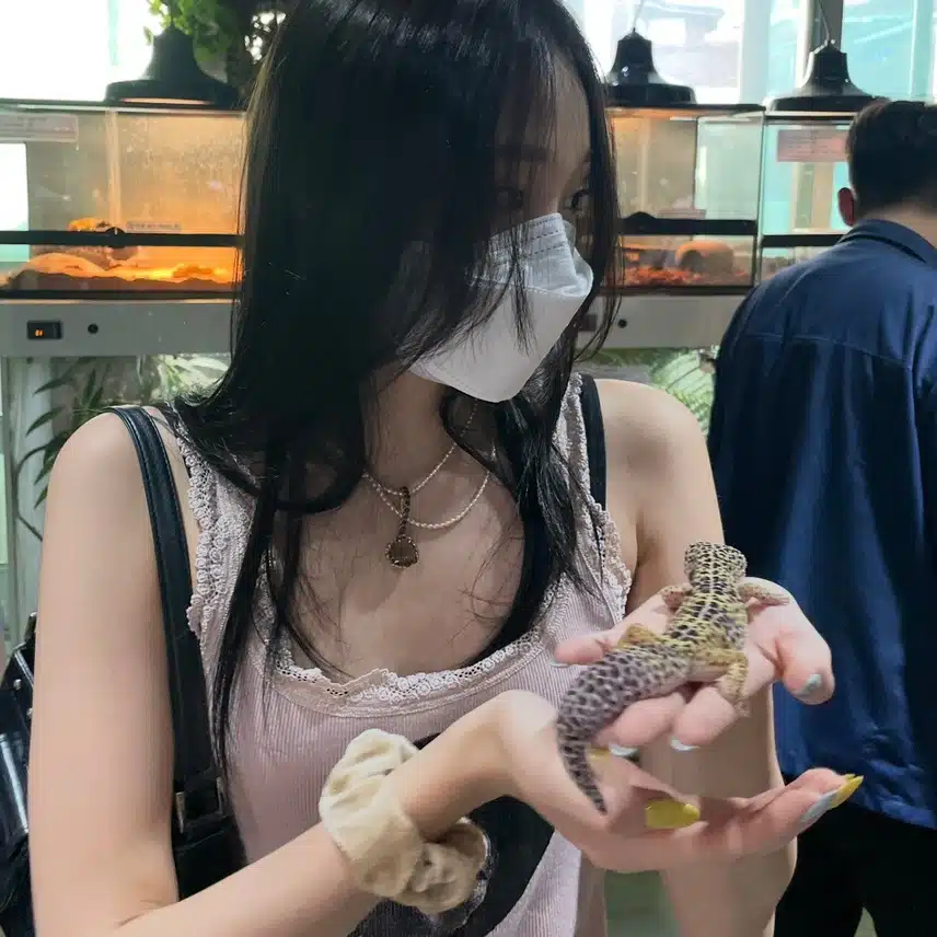 세계도마뱀의 날 맞이 프사바꾼 올데이 애니