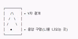 케모포트 니들 - 후버니들을 삽입하는 방법 한 번에 정리!