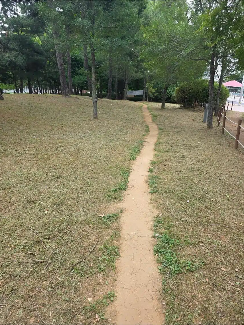 산책중 