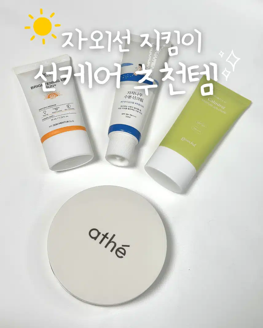 여름에만 바르면 끝? 👀 NO! 가을·겨울에도 꼭 챙겨야 할 선크림 추천템☀️