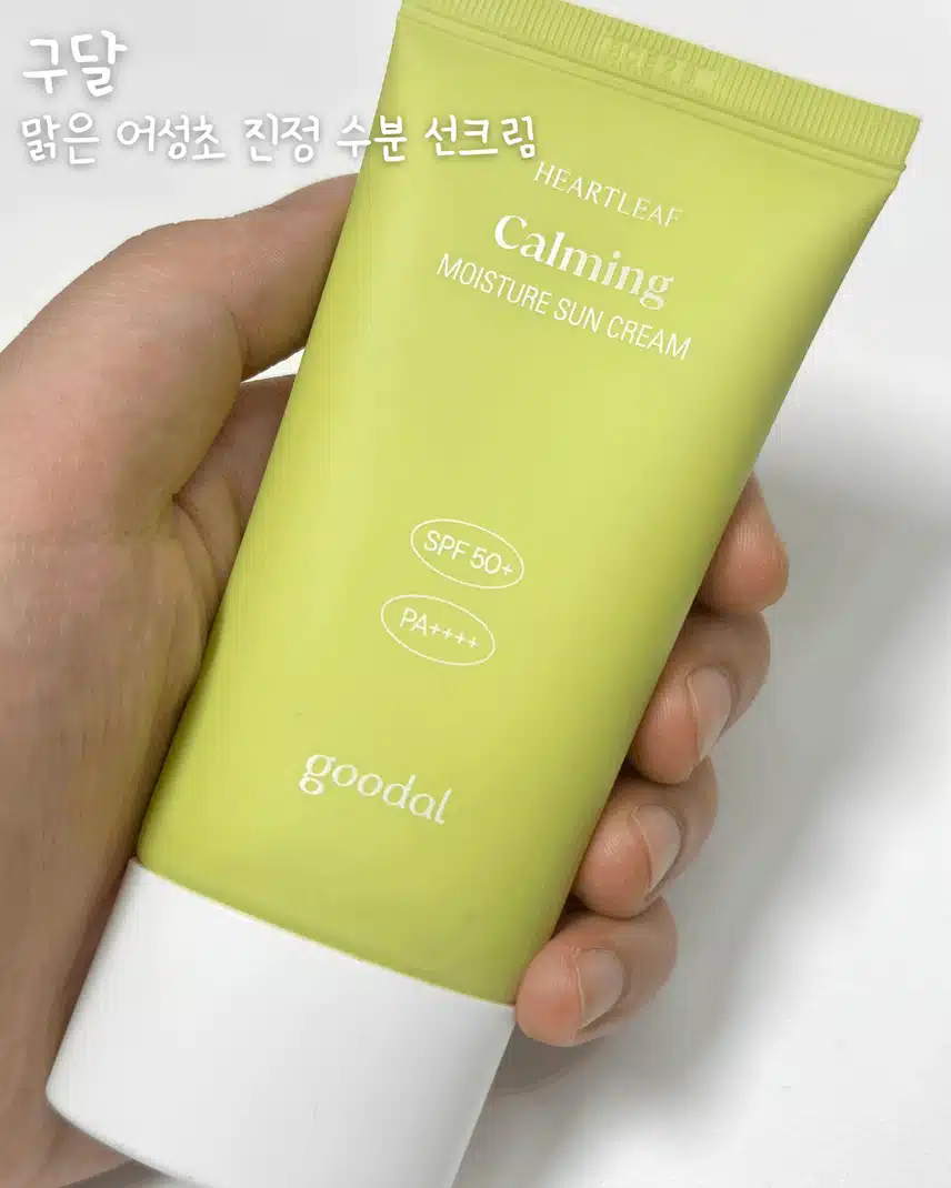 여름에만 바르면 끝? 👀 NO! 가을·겨울에도 꼭 챙겨야 할 선크림 추천템☀️
