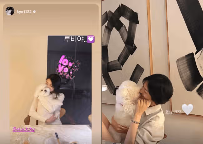 오늘 반려견 루비랑 찍은 사진 스토리에 올렸네요