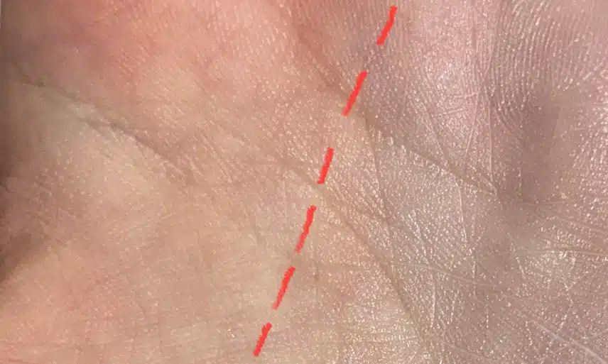 뜨거운 햇볕 속 피부를 지켜주는 선케어 추천템 