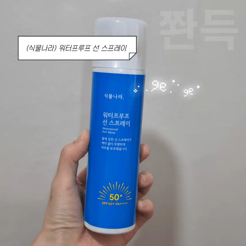 ☀️여름 필수템! 선케어 제품 3가지 제형 비교 & 추천🌸