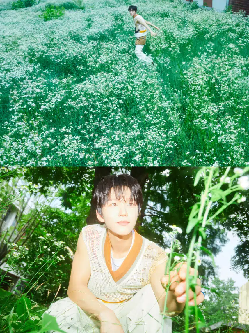 NCT WISH Jaehee mang đến bức ảnh concept màu sắc