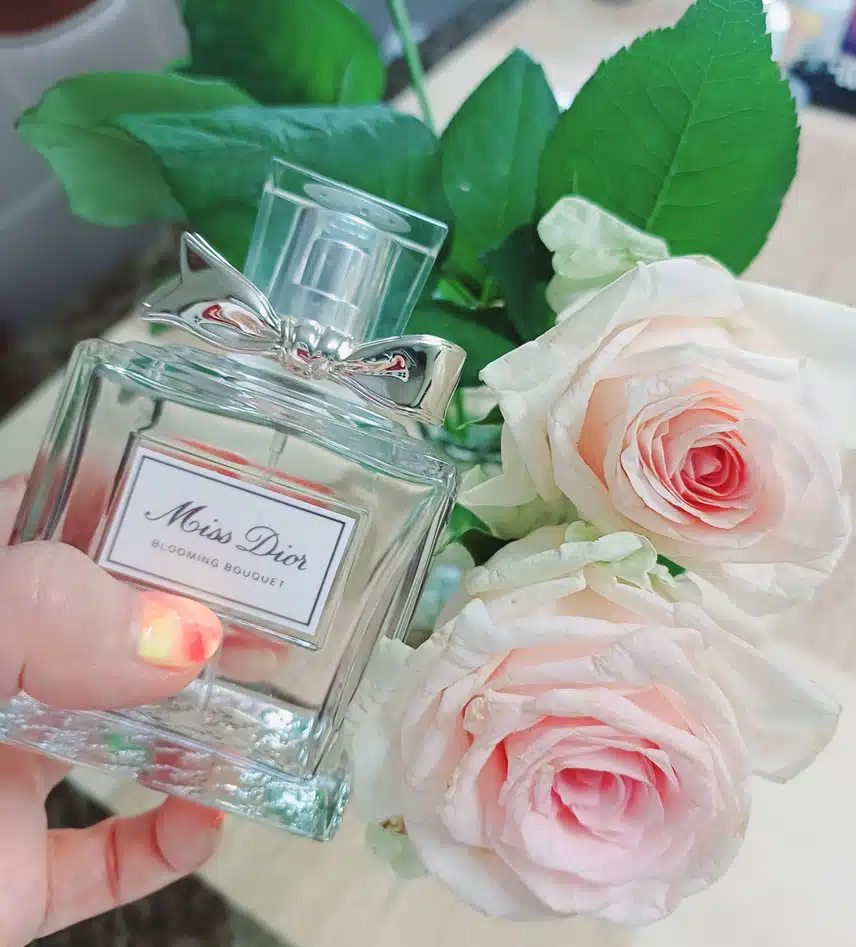 여름엔 역시 요거이죠~♡