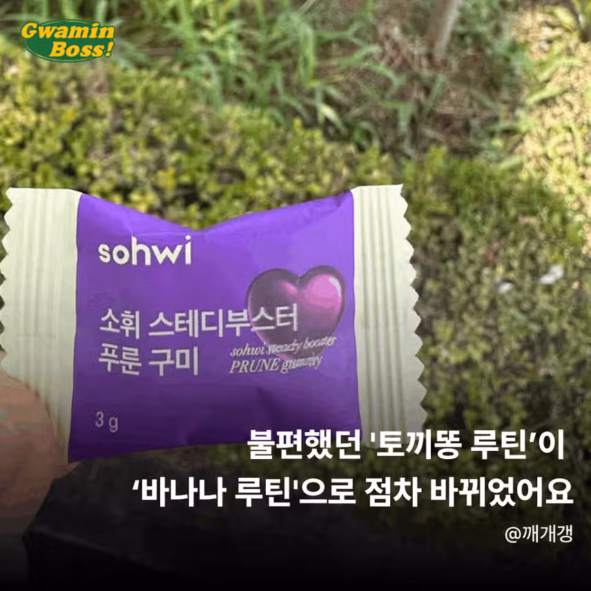 직접 먹어본 소휘 푸룬구미 후기 모음.zip 💜
